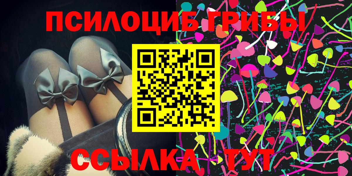 Дальнереченск  Псилоцибиновые грибы MAGIC MUSHROOMS  Вход с VPN 